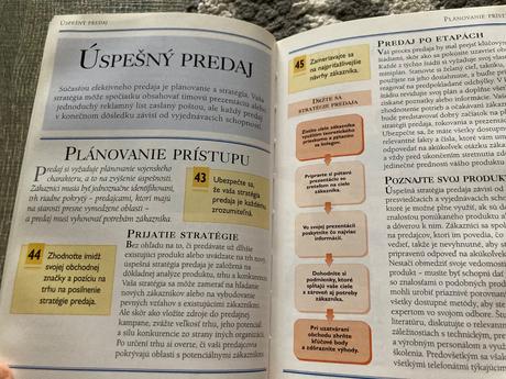 Úspešný predaj (2001),