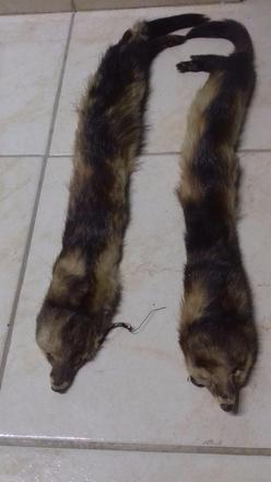 Norky ako doplnok - golier, 42