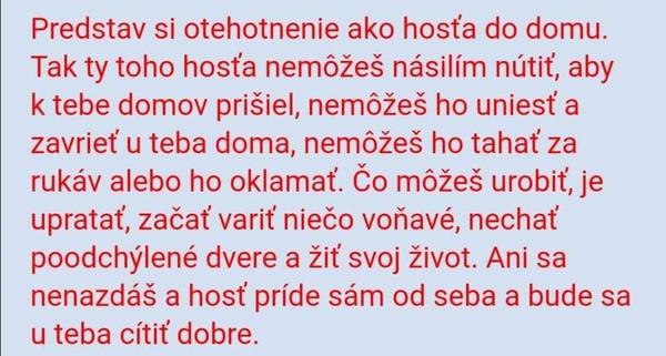 Kočky s tehotenskými testami