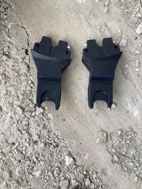 Kočík roan bloom, roan,roan bloom