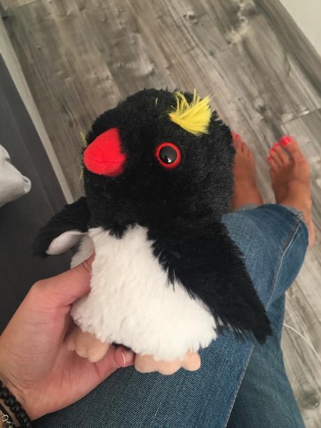 Maly plyšový pinguin, 