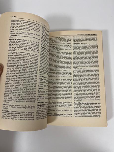 Anglická literatúra english literature, 