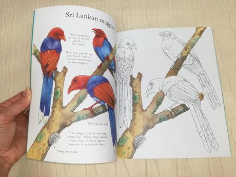 Usborne undersea life to colour njul18,