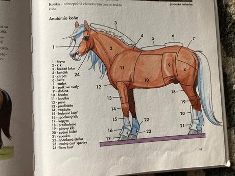 Moja prvá knižka o koňoch (2009),