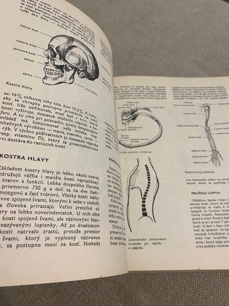 Alexander jandera človek ako ho nepoznáte,