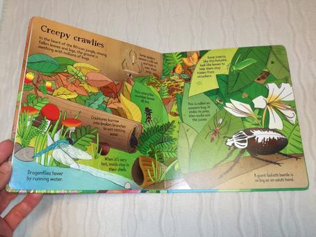 Usborne look inside animal homes nau22,