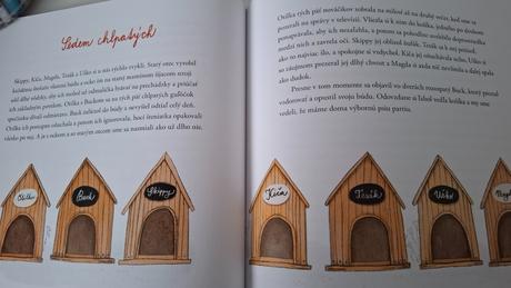 Kniha stela a 16 huskyov, 