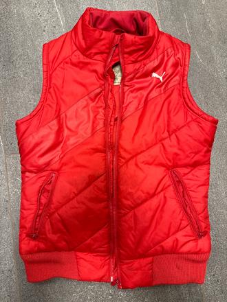 Vesta puma, puma,152