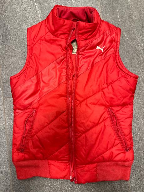 Vesta puma, puma,152