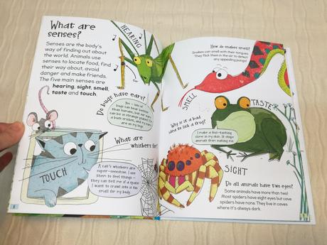 Curious questions & answers about animals, 