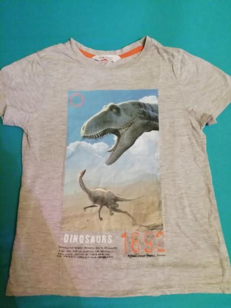 Tricko s dinosaurami, h&m,134
