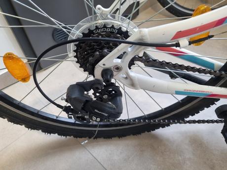 Dievčenský bicykel, 26