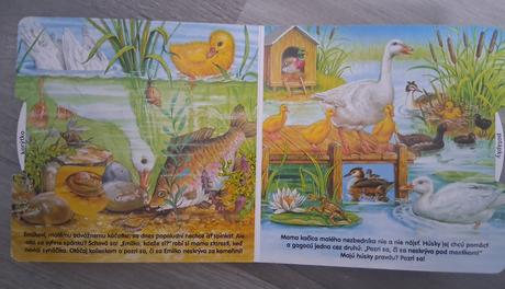 Kde sa skryli myška a kacatko, 