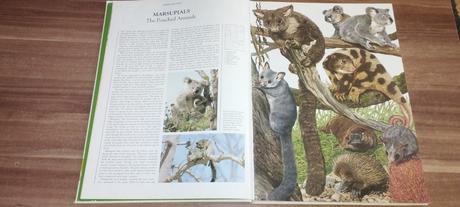 Wildlife of the world, 