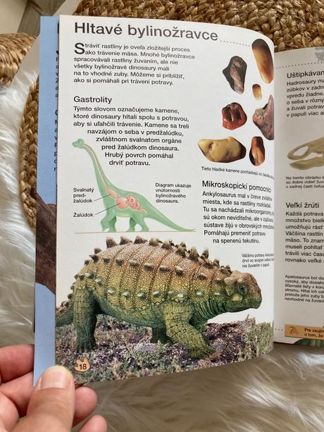 Dinosaury z edície objavujte s nami (2003),