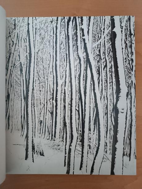 Otakar nehera, andrej chudoba - čaro zimy (1984), 