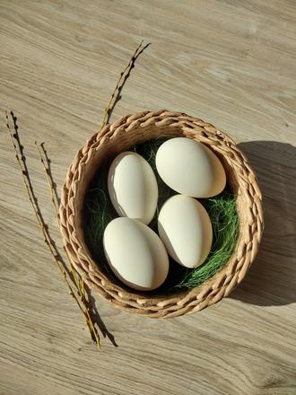 Husacie vajcia vyfúknuté, 