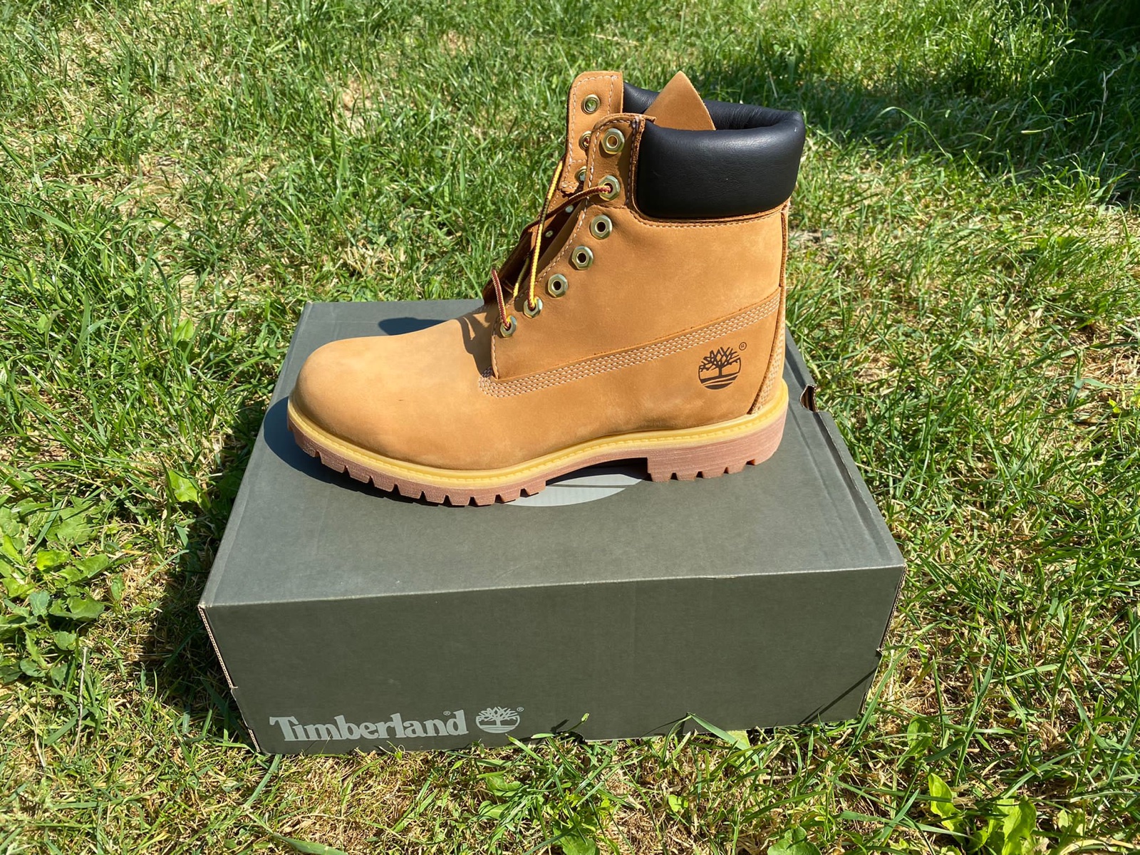 timberland 42