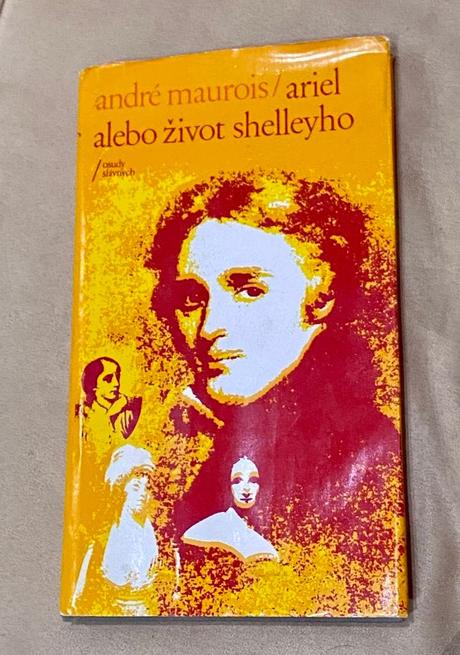 Kniha- ariel alebo život sheleyho,