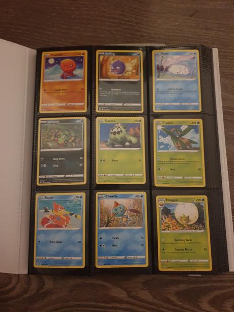 Pokémon karty a pokémon album,