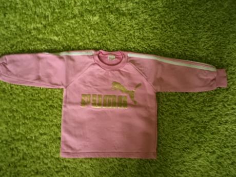 Mikinka puma, puma,80