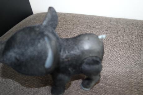 Teacup piggies-roztomilé prasiatko, 