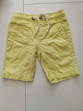 Kratase palomino, palomino,98