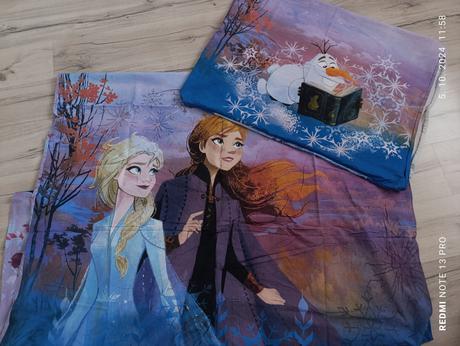 Frozen obliečky, šírka (cm): 140,dĺžka (cm): 200