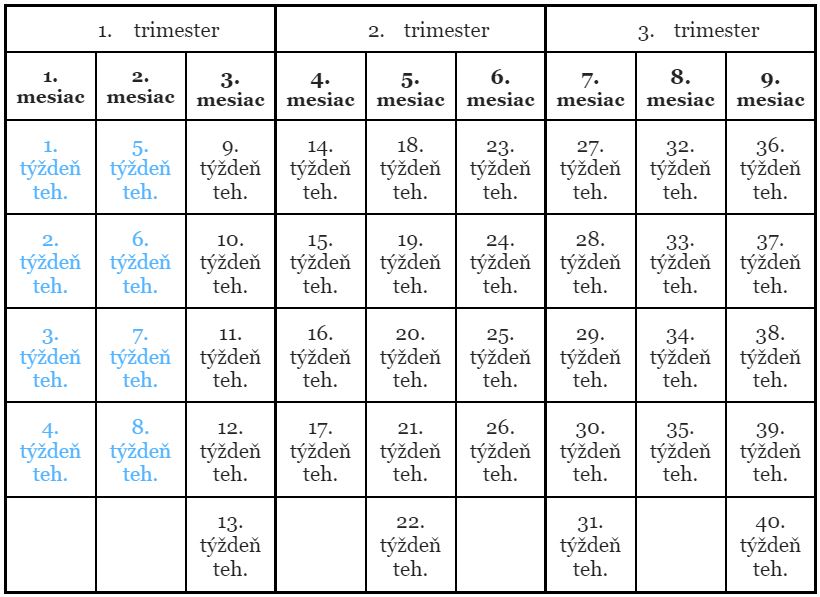 8. týždeň tehotenstva, mesiac a trimester
