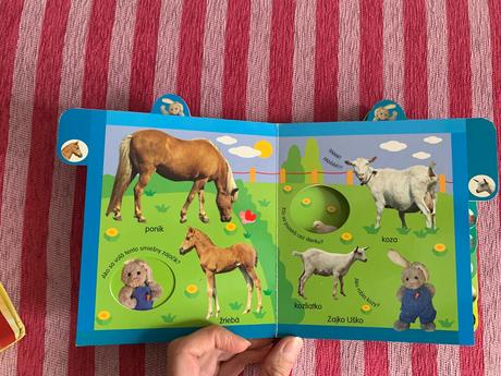 Knihy pre najmenších, 