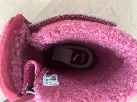 Snehule puma, puma,25