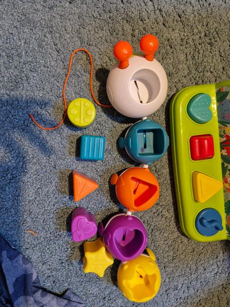 Húsenica vkladačka, 