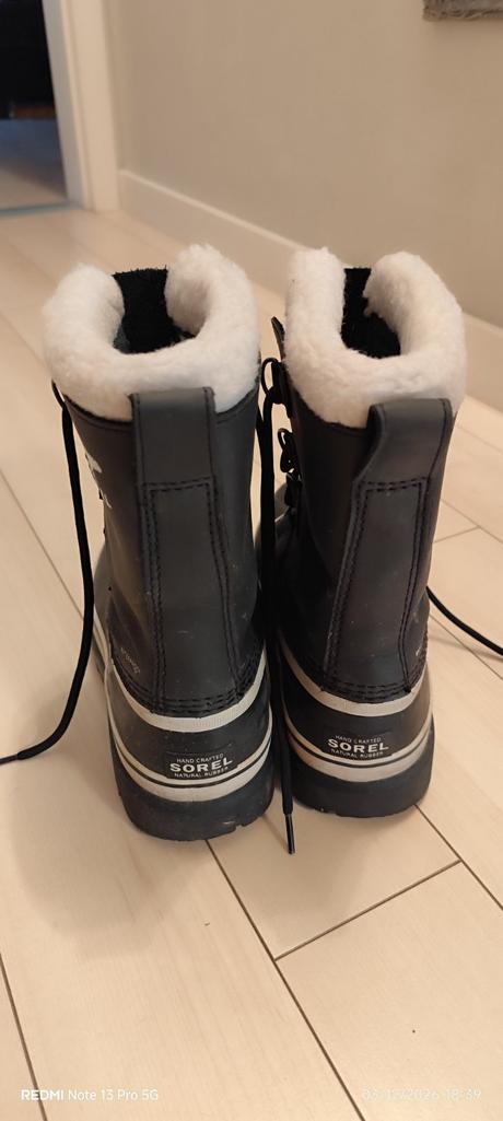 Snehule sorel, sorel,40