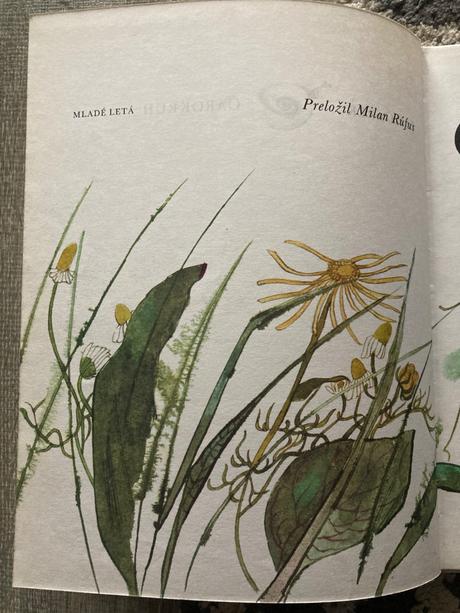 Čarokruh - jan čarek (1983), 