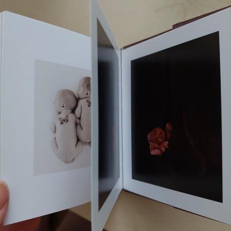 Zápisník anne geddes, 