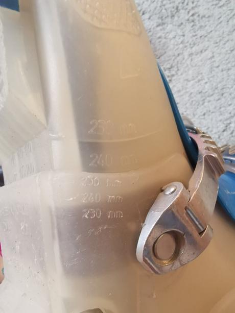 Lyže, lyžiarky, 70-79 cm