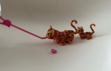 Pet parade family macky, 