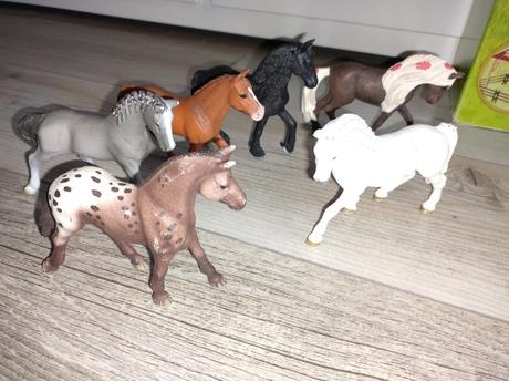 Kone schleich,
