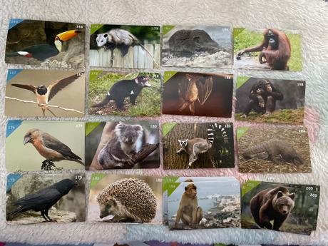 Nálepky animal kingdom new, 