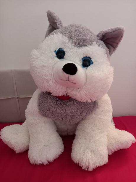 Veľký plyšový psík, 