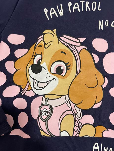 Paw patrol skye, f&f,122