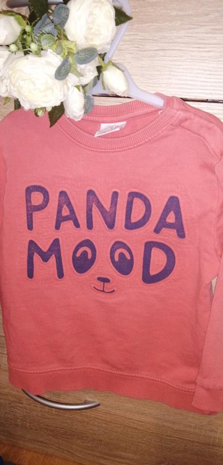 Zara mikinka, zara,104