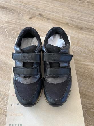 Topánky geox, geox,36