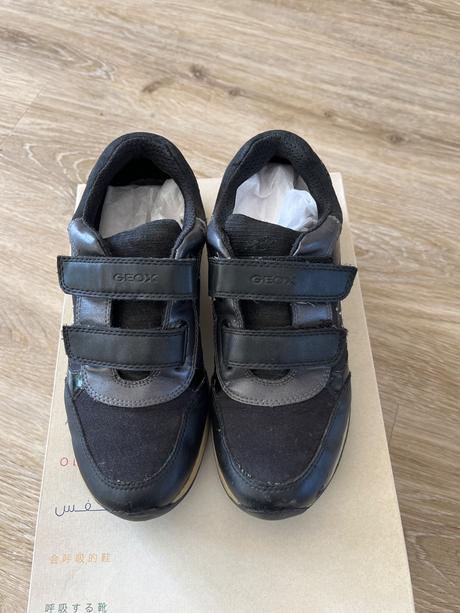 Topánky geox, geox,36