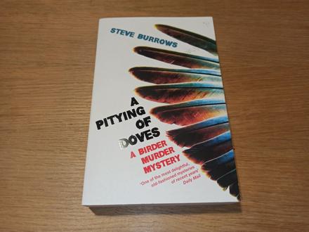 Steve burrows v anglictine  xs24, 