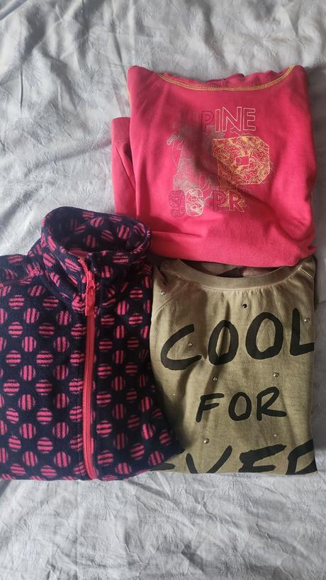 Mikiny, alpine pro,164