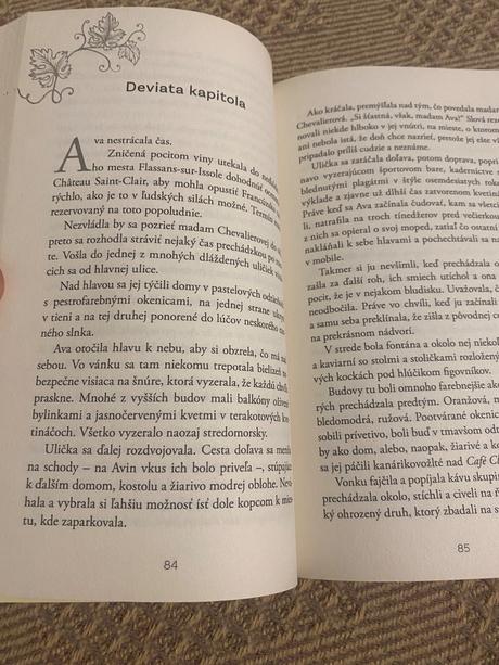 Malé vinárstvo v provensalsku román o podmanivých, 