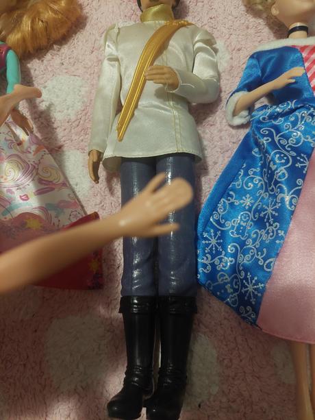 Barbie, ken, princezne, frozen, rapunzel, popolusk,
