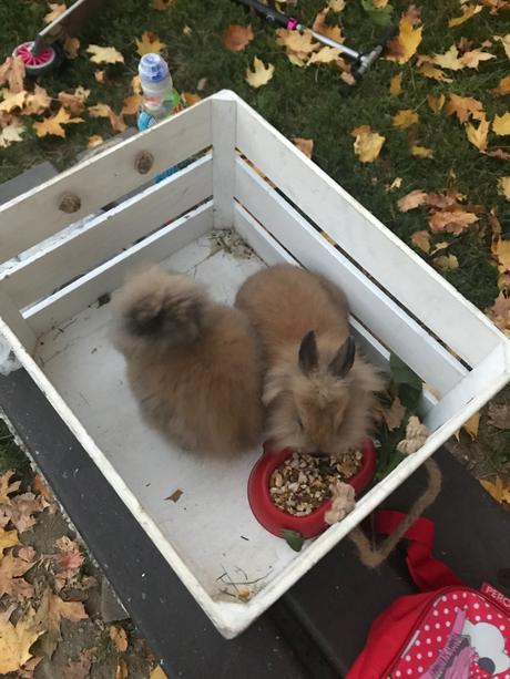 Tričko vrecko 6-8 rokov, h&m,128