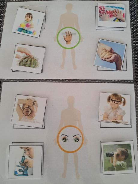 5 zmyslov - edukativna hra, 